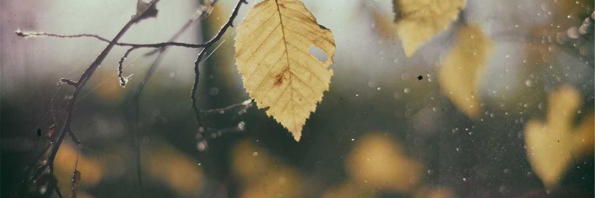 欢迎来到购物商城